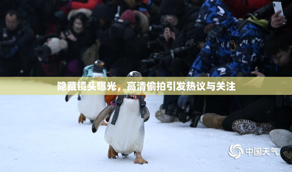 隐藏镜头曝光，高清偷拍引发热议与关注