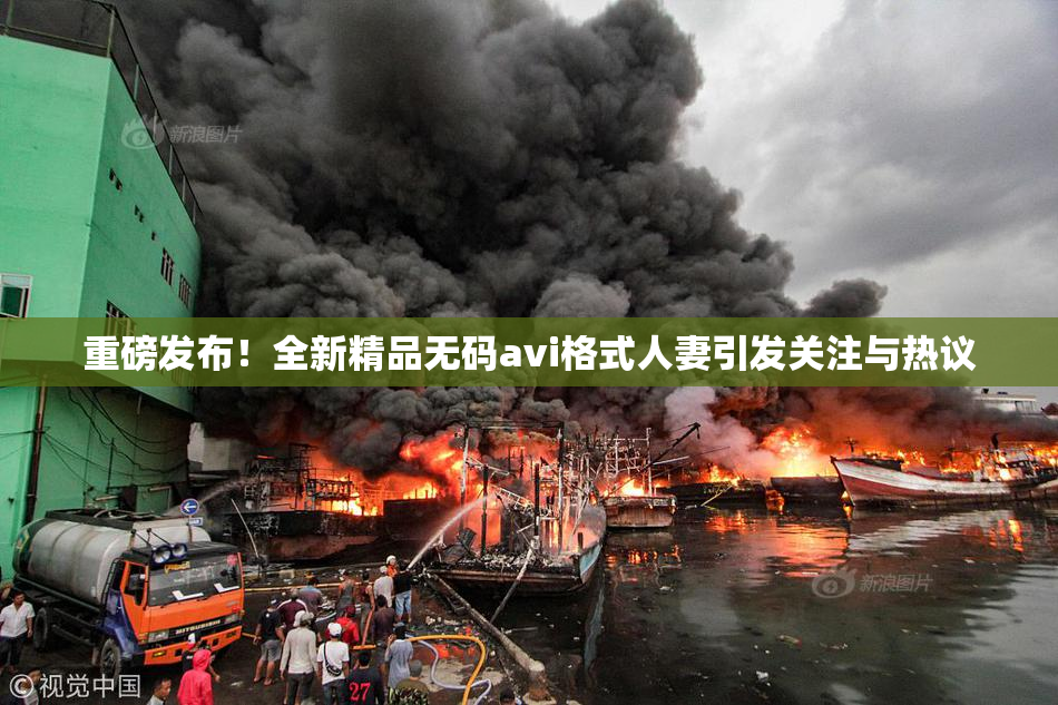 重磅发布！全新精品无码avi格式人妻引发关注与热议