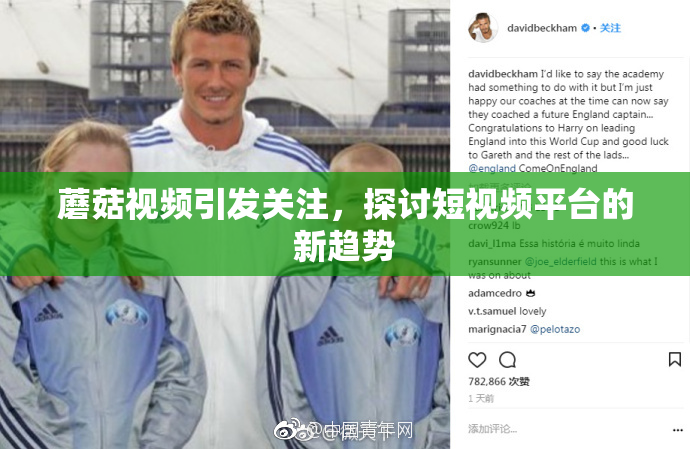蘑菇视频引发关注，探讨短视频平台的新趋势