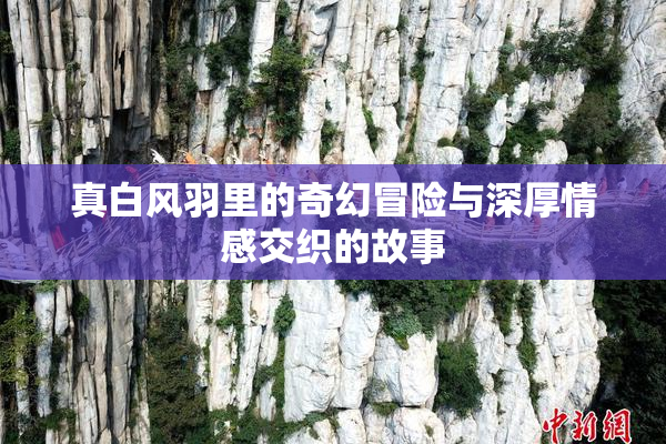 真白风羽里的奇幻冒险与深厚情感交织的故事