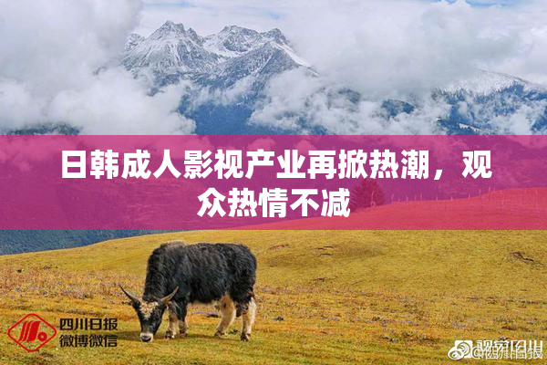 日韩成人影视产业再掀热潮，观众热情不减