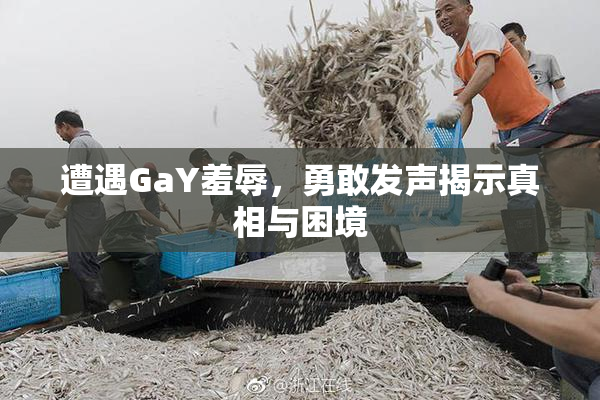 遭遇GaY羞辱，勇敢发声揭示真相与困境