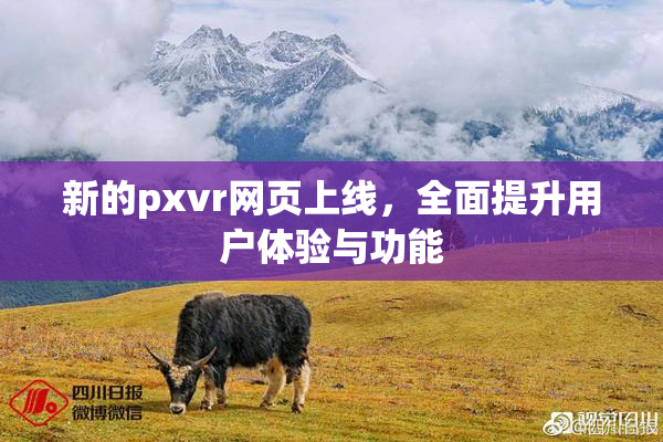 新的pxvr网页上线，全面提升用户体验与功能