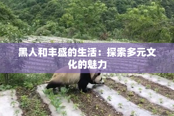 黑人和丰盛的生活：探索多元文化的魅力