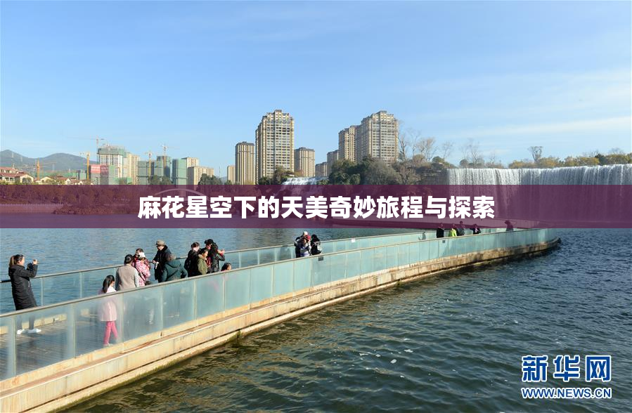 麻花星空下的天美奇妙旅程与探索