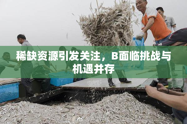 稀缺资源引发关注，B面临挑战与机遇并存