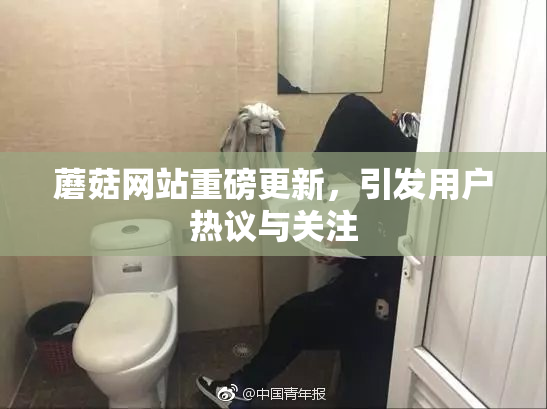 蘑菇网站重磅更新，引发用户热议与关注