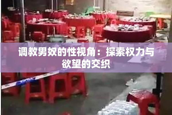调教男奴的性视角：探索权力与欲望的交织