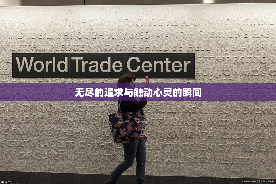 无尽的追求与触动心灵的瞬间