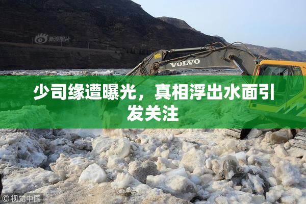 少司缘遭曝光，真相浮出水面引发关注