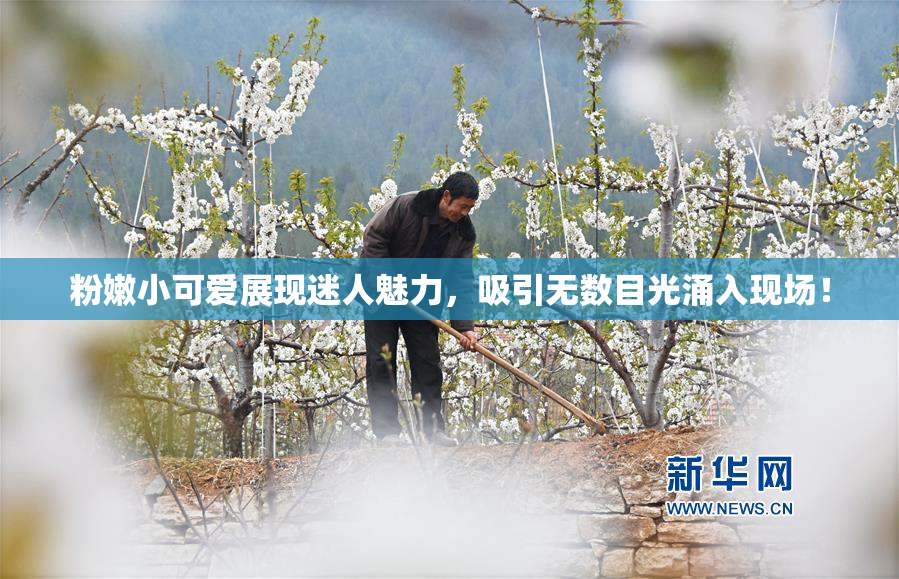 粉嫩小可爱展现迷人魅力，吸引无数目光涌入现场！