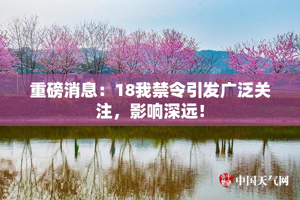 重磅消息：18我禁令引发广泛关注，影响深远！