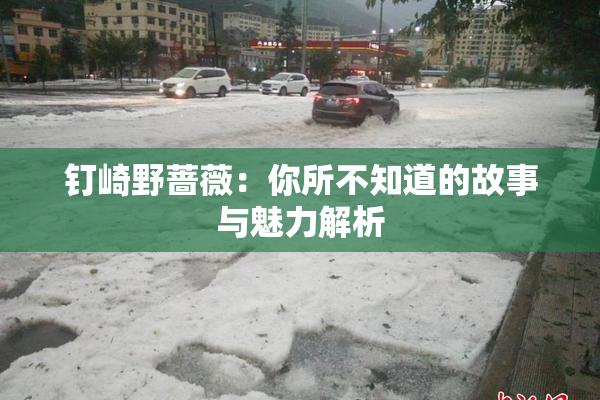 钉崎野蔷薇：你所不知道的故事与魅力解析