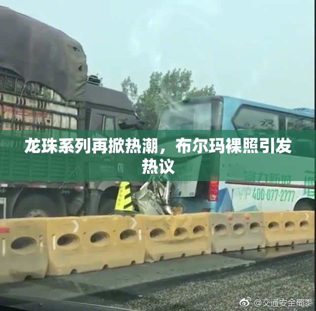龙珠系列再掀热潮，布尔玛裸照引发热议