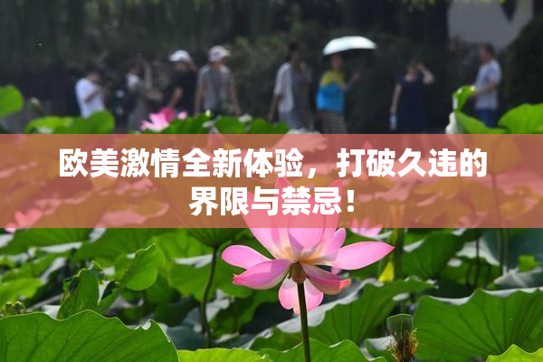 欧美激情全新体验，打破久违的界限与禁忌！