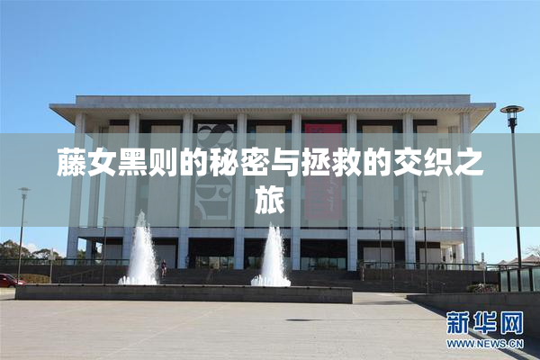 藤女黑则的秘密与拯救的交织之旅