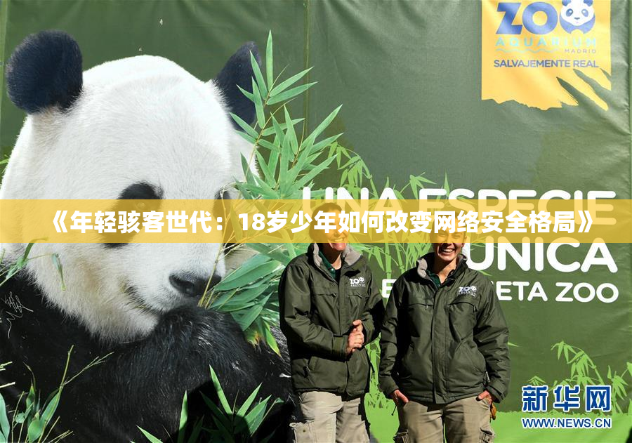 《年轻骇客世代：18岁少年如何改变网络安全格局》