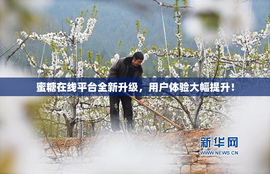 蜜糖在线平台全新升级，用户体验大幅提升！