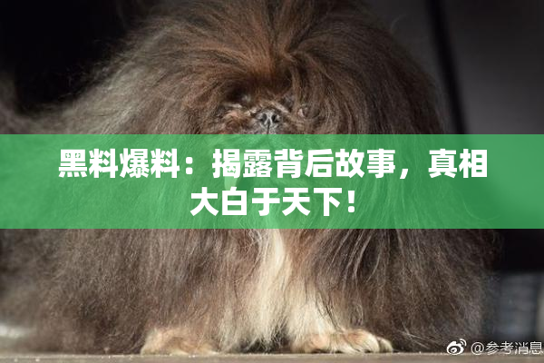 黑料爆料：揭露背后故事，真相大白于天下！