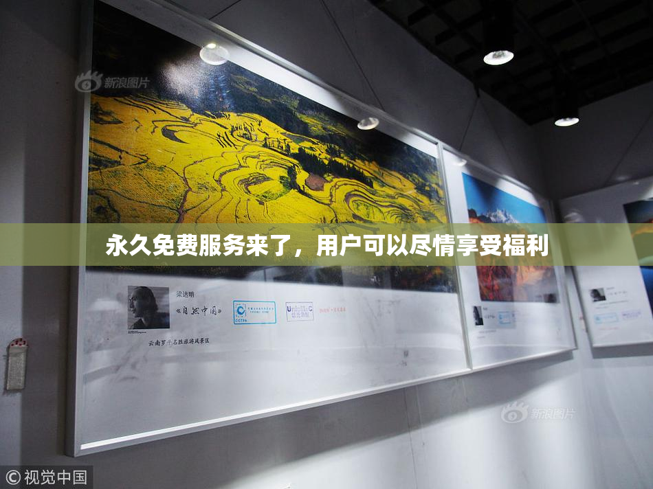 永久免费服务来了，用户可以尽情享受福利