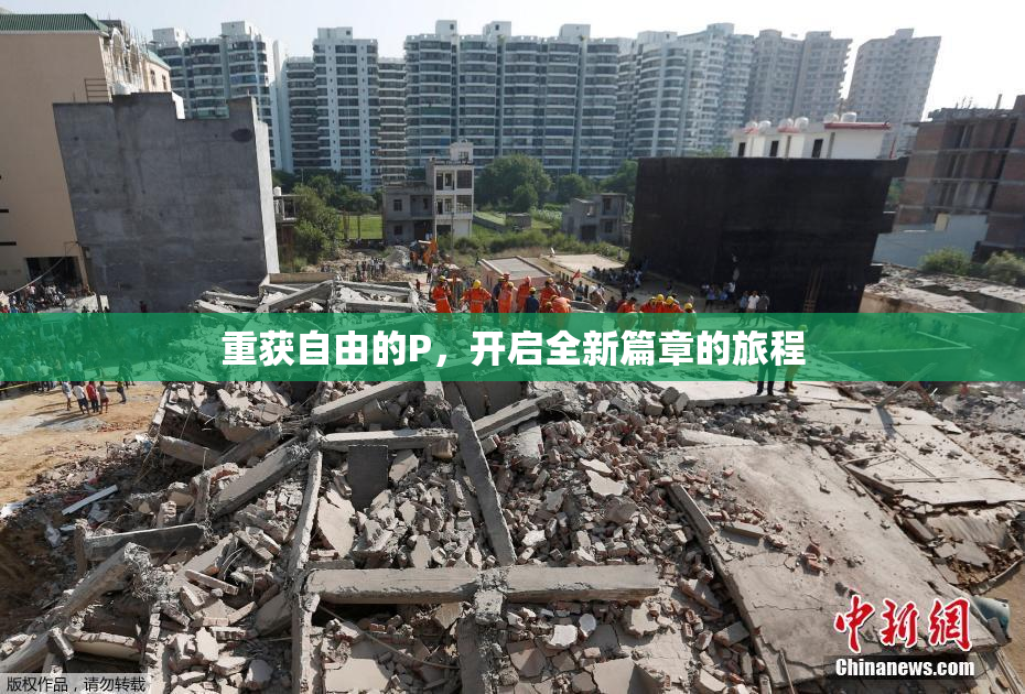 重获自由的P，开启全新篇章的旅程