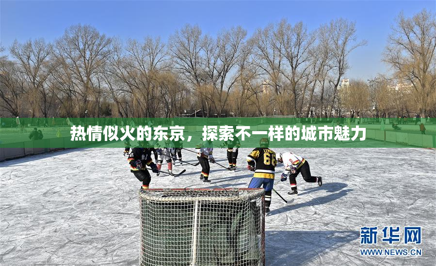 热情似火的东京，探索不一样的城市魅力