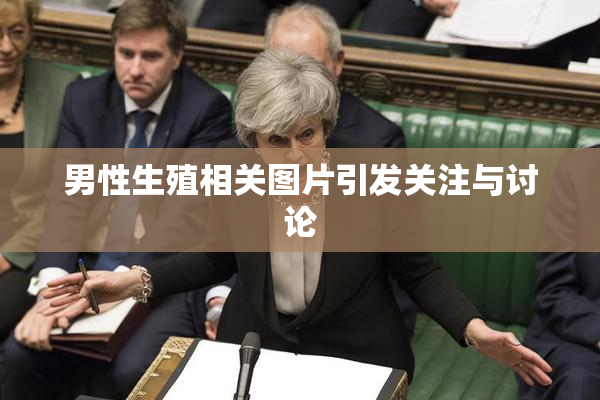 男性生殖相关图片引发关注与讨论