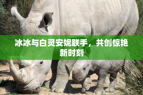 冰冰与白灵安妮联手，共创惊艳新时刻