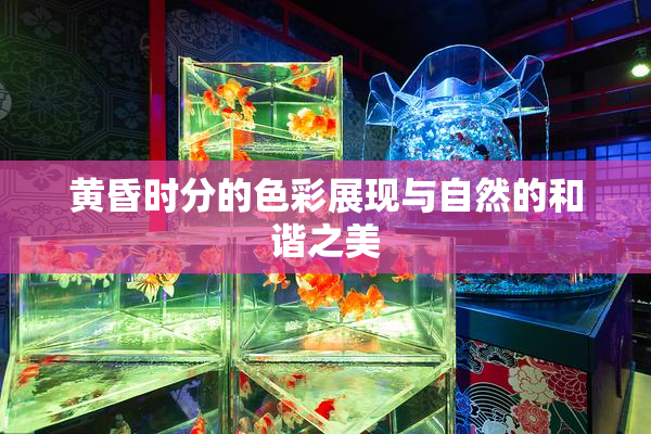 黄昏时分的色彩展现与自然的和谐之美