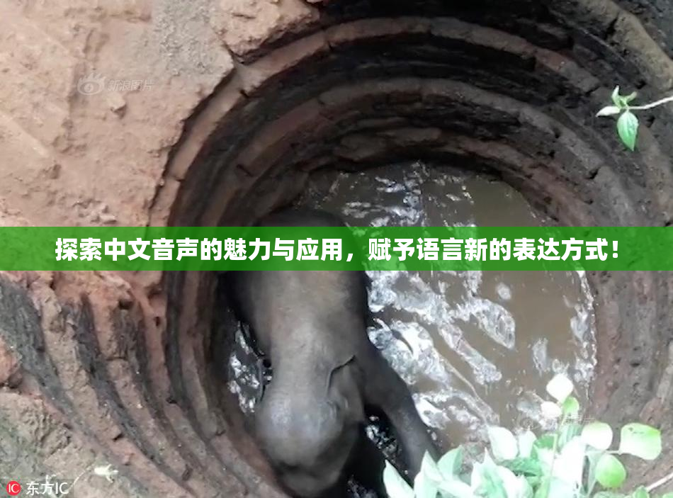探索中文音声的魅力与应用，赋予语言新的表达方式！