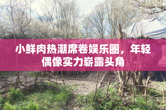 小鲜肉热潮席卷娱乐圈，年轻偶像实力崭露头角