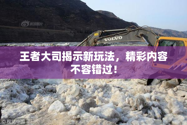 王者大司揭示新玩法，精彩内容不容错过！