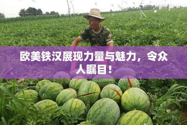 欧美铁汉展现力量与魅力，令众人瞩目！