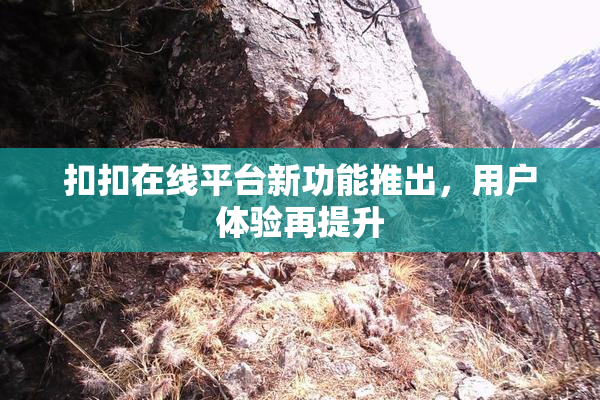 扣扣在线平台新功能推出，用户体验再提升