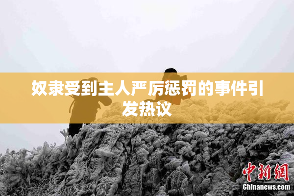 奴隶受到主人严厉惩罚的事件引发热议