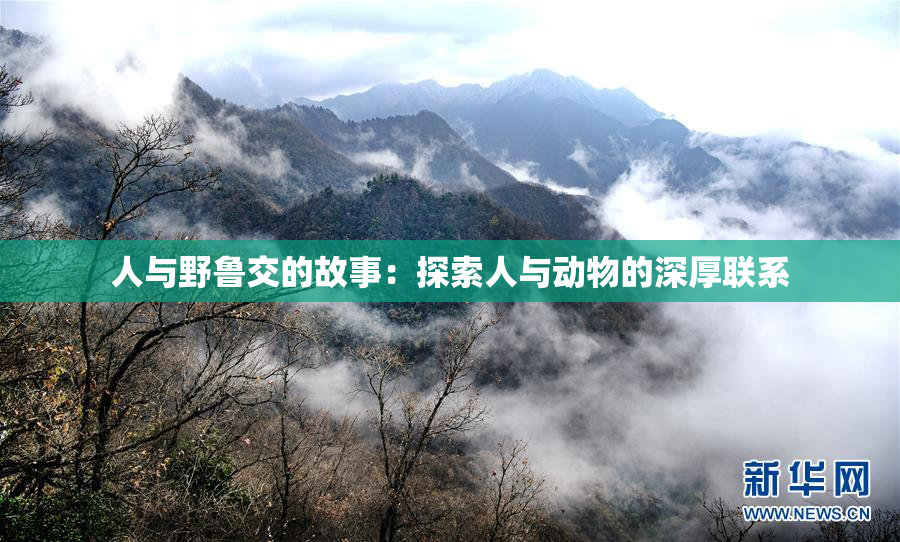 人与野鲁交的故事：探索人与动物的深厚联系
