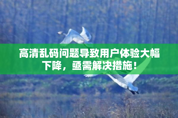 高清乱码问题导致用户体验大幅下降，亟需解决措施！
