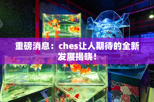 重磅消息：ches让人期待的全新发展揭晓！