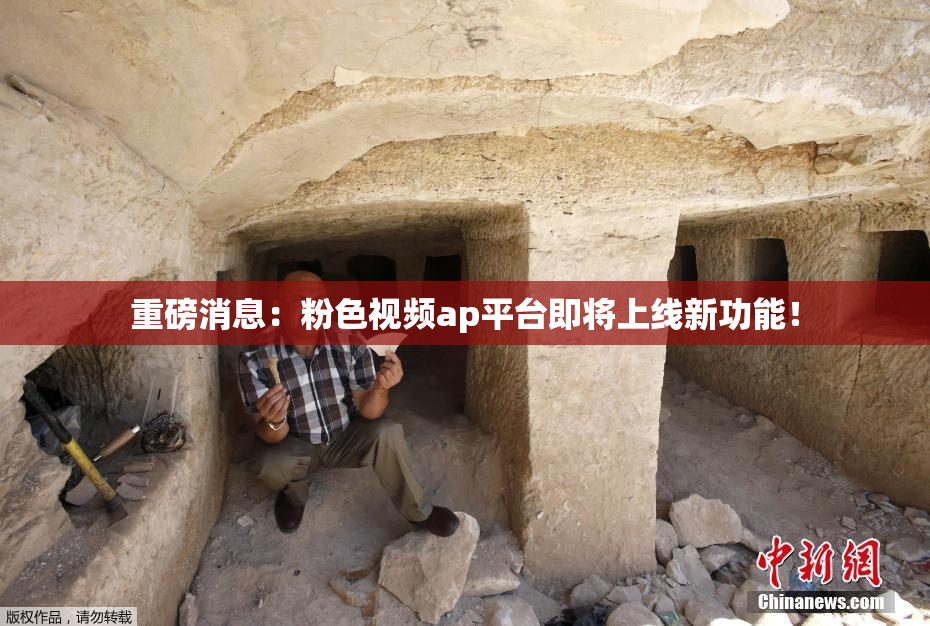 重磅消息：粉色视频ap平台即将上线新功能！