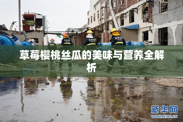 草莓樱桃丝瓜的美味与营养全解析