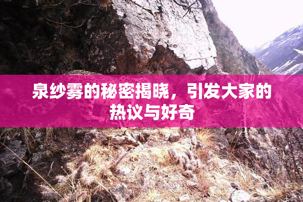 泉纱雾的秘密揭晓，引发大家的热议与好奇