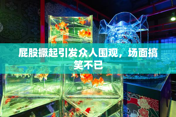 屁股撅起引发众人围观，场面搞笑不已