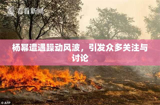 杨幂遭遇躁动风波，引发众多关注与讨论