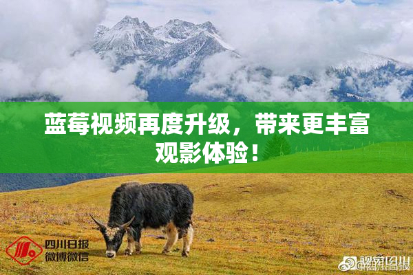 蓝莓视频再度升级，带来更丰富观影体验！