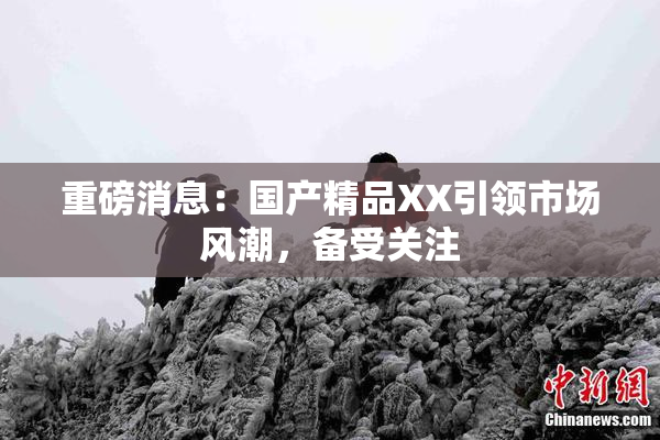 重磅消息：国产精品XX引领市场风潮，备受关注