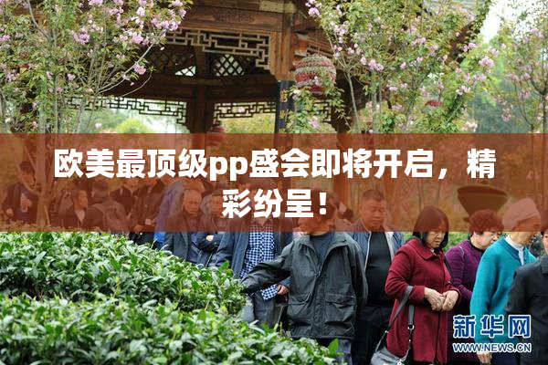 欧美最顶级pp盛会即将开启，精彩纷呈！