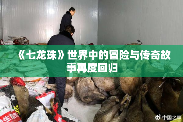 《七龙珠》世界中的冒险与传奇故事再度回归