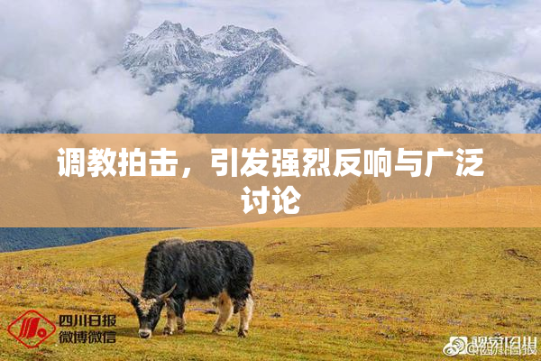 调教拍击，引发强烈反响与广泛讨论