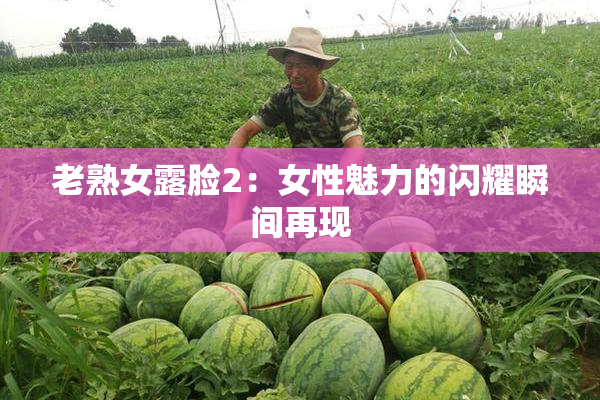 老熟女露脸2：女性魅力的闪耀瞬间再现