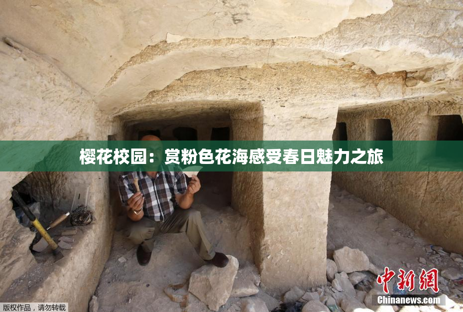 樱花校园：赏粉色花海感受春日魅力之旅